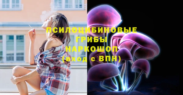 мяу мяу мука Армянск