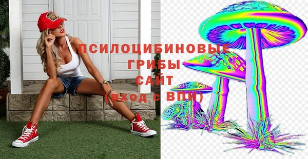 эйфоретик Аркадак