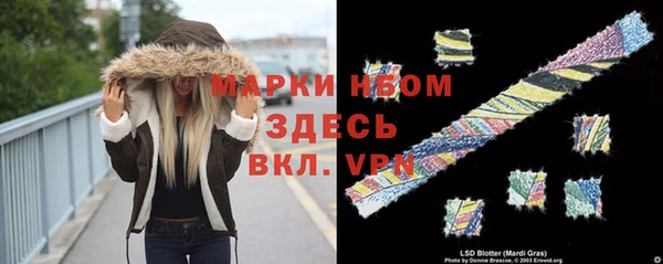 эйфоретик Аркадак