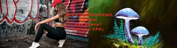 герыч Арсеньев